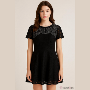 Free People Black Dreamer Embroidered Lace Dress Size S